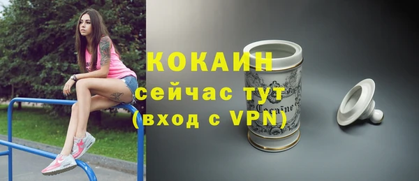 скорость Вяземский