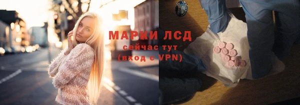 индика Вязники