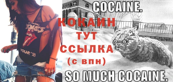 индика Вязники
