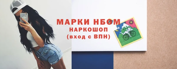 индика Вязники