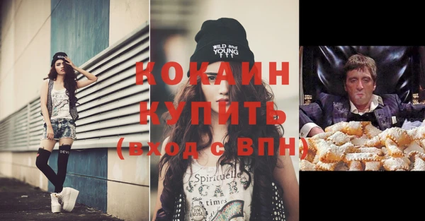 индика Вязники
