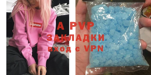 индика Вязники