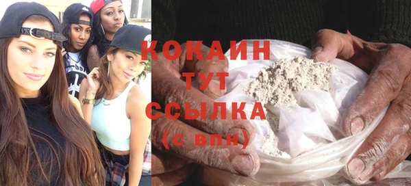 индика Вязники