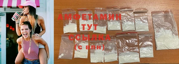 индика Вязники